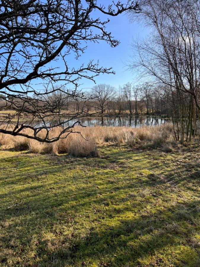 Overnachten In Zeeland Burgh-Haamstede Bagian luar foto